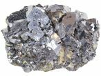 Lustrous Galena and Chalcopyrite Crystal Association - Bulgaria #41750-1